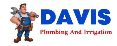 Trusted plumber in HIMROD